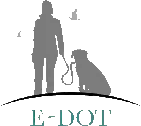 E-DOT LLC