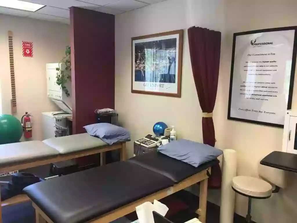 Professional Physical and Hand Therapy