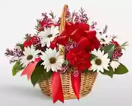 Flowers For You