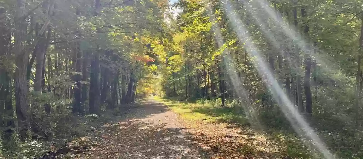 Portage Trail -Trolley Line Nature Trail