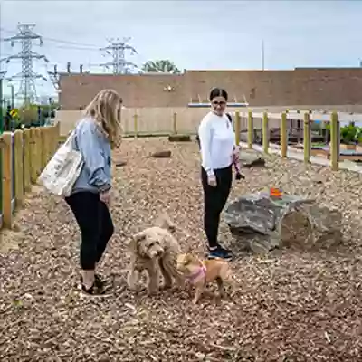 Ridge Hill Dog Park