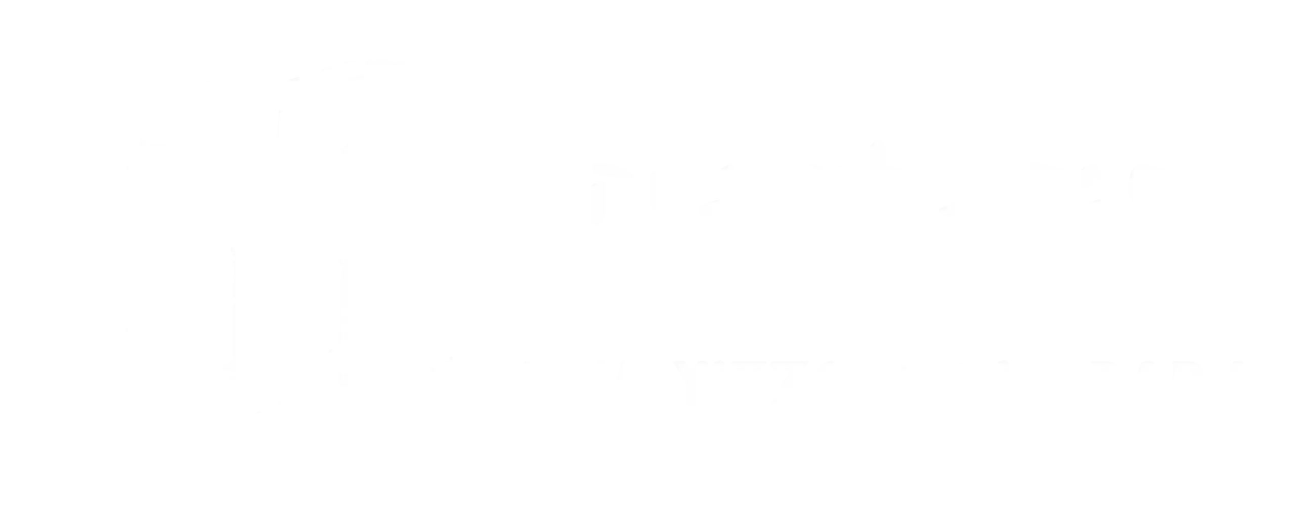 The Levi Yitzchok Library