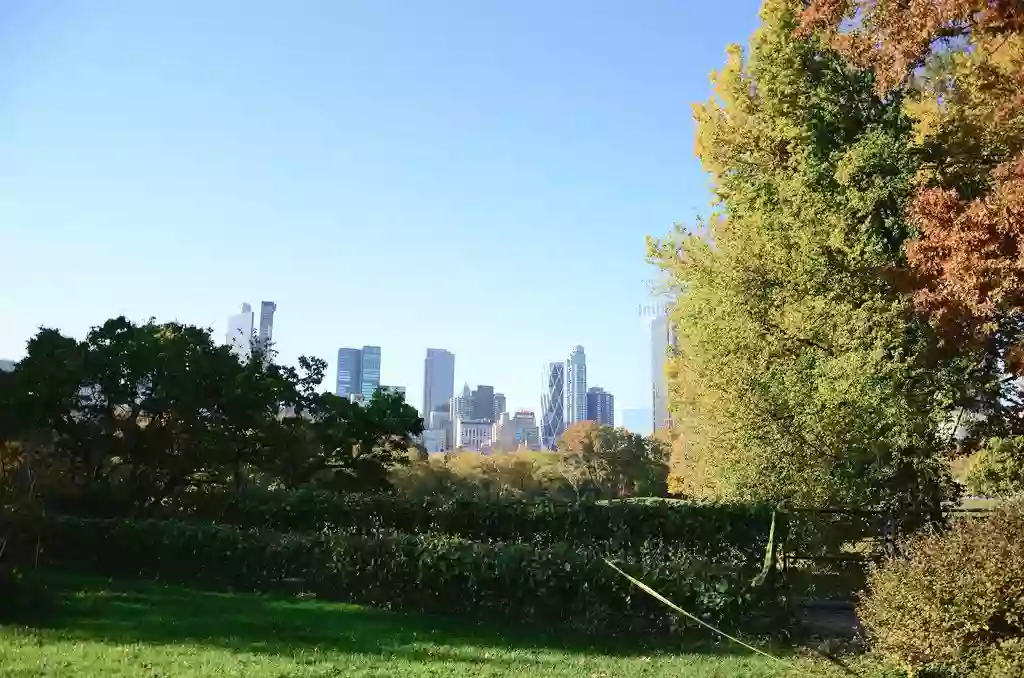 Mineral Springs, Central Park