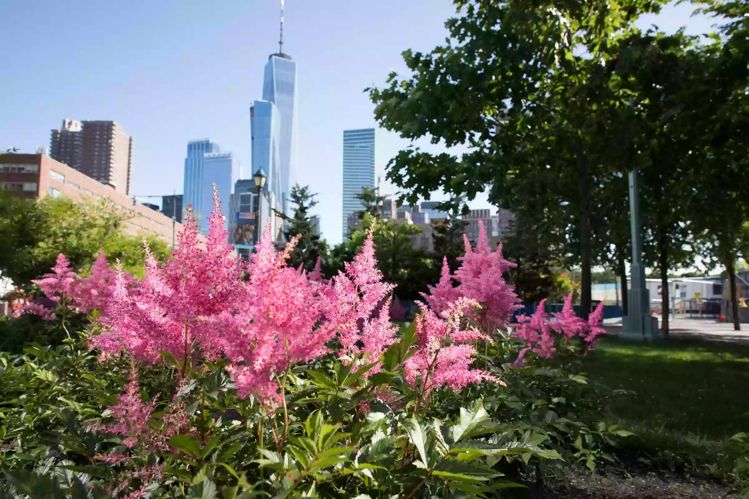 Hudson River Park