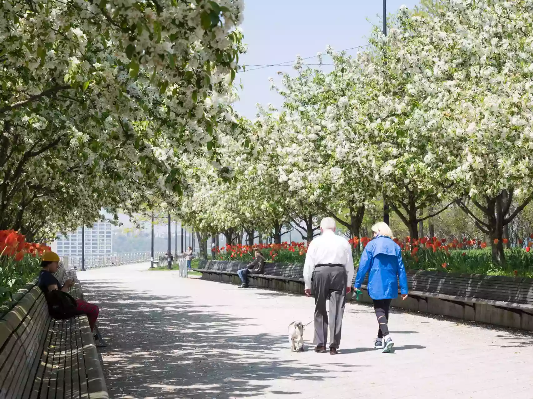 Pier 64 at Hudson River Park