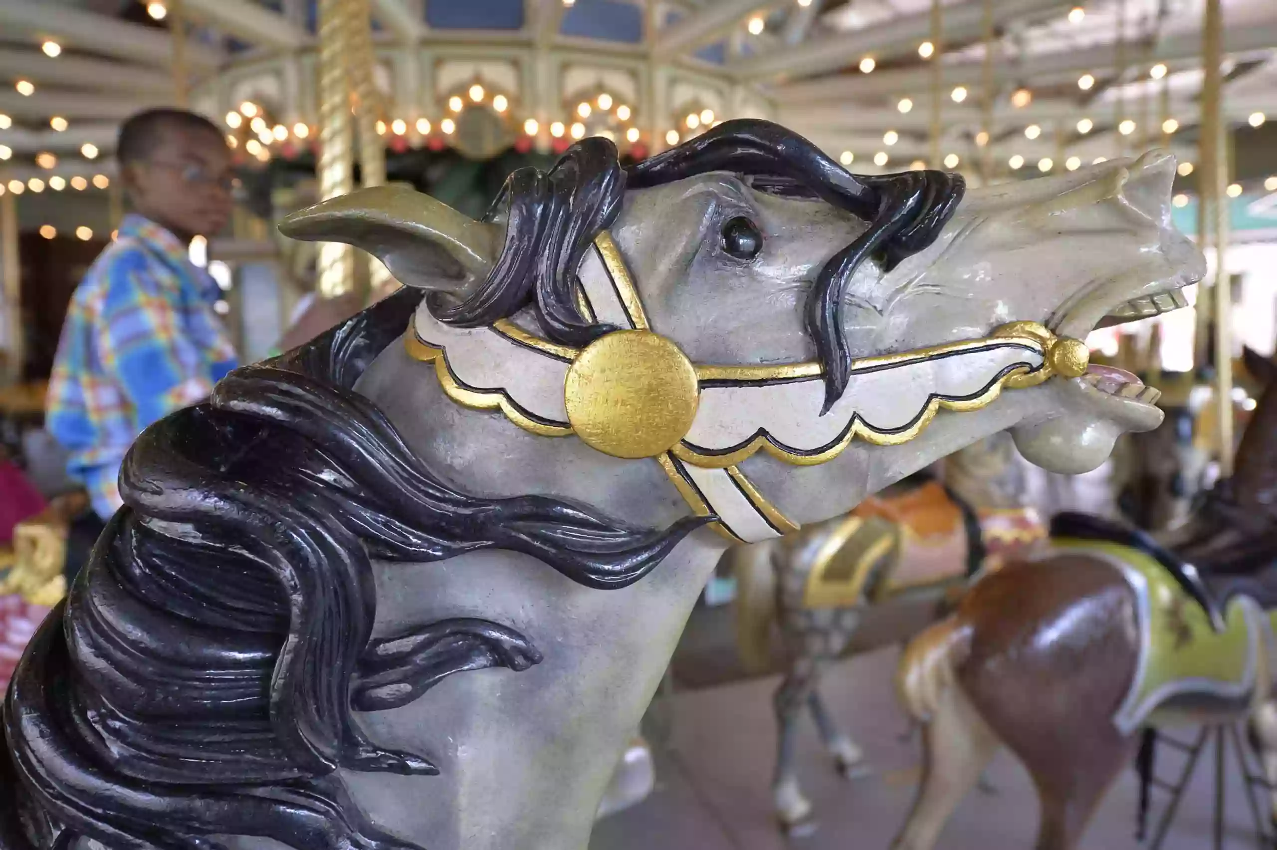 Prospect Park Carousel