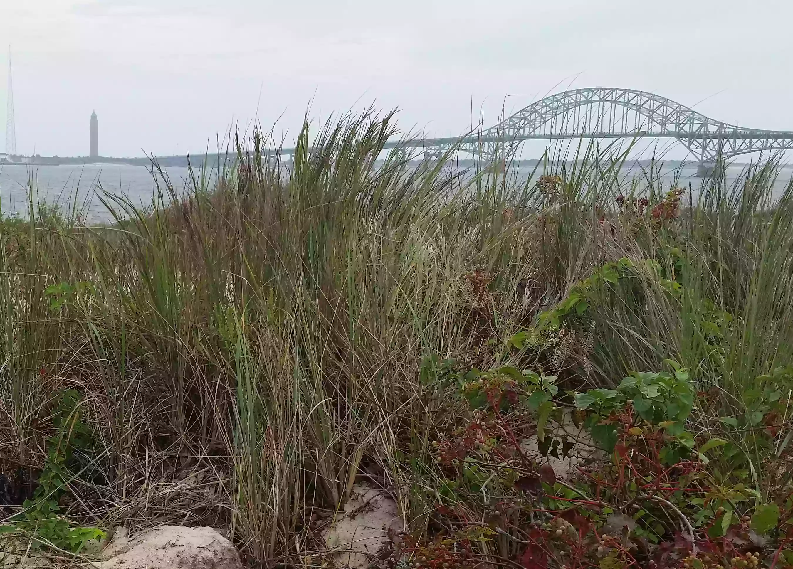 Long Island South Shore Estuary Reserve