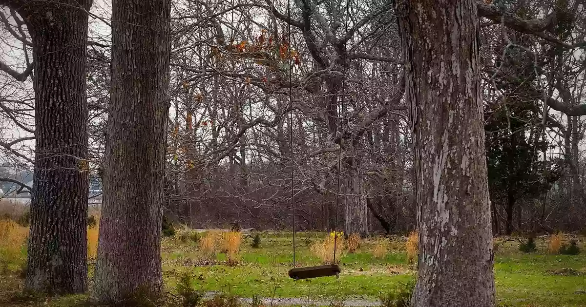 Pine Neck Sanctuary