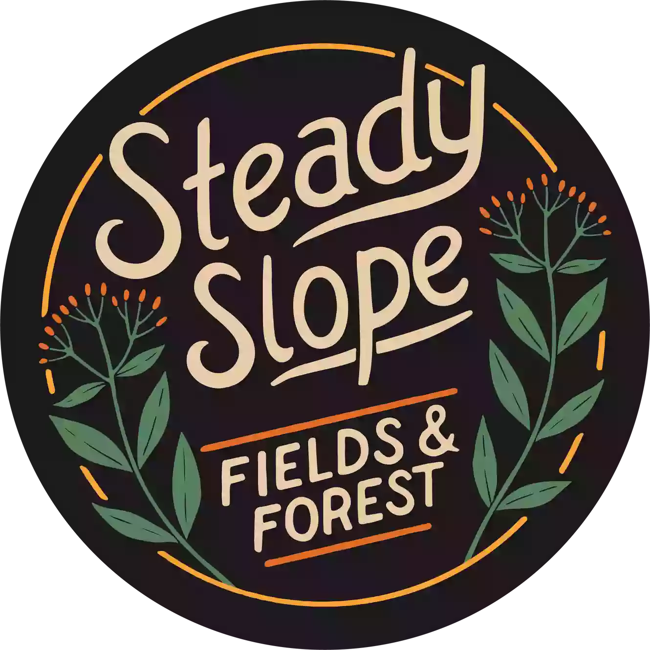 Steady Slope Fields and Forest