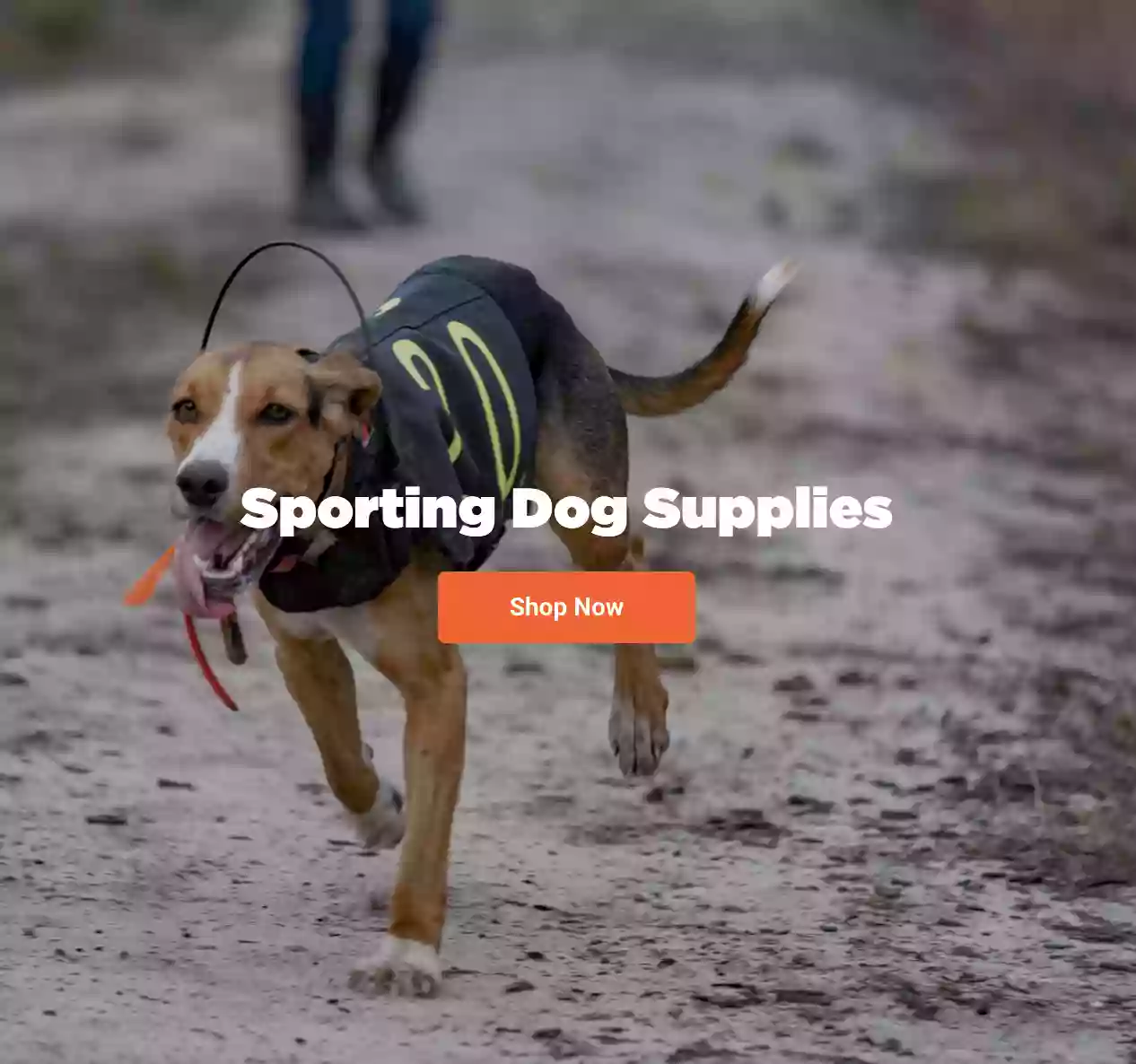 Timber & Shore Dog Supply