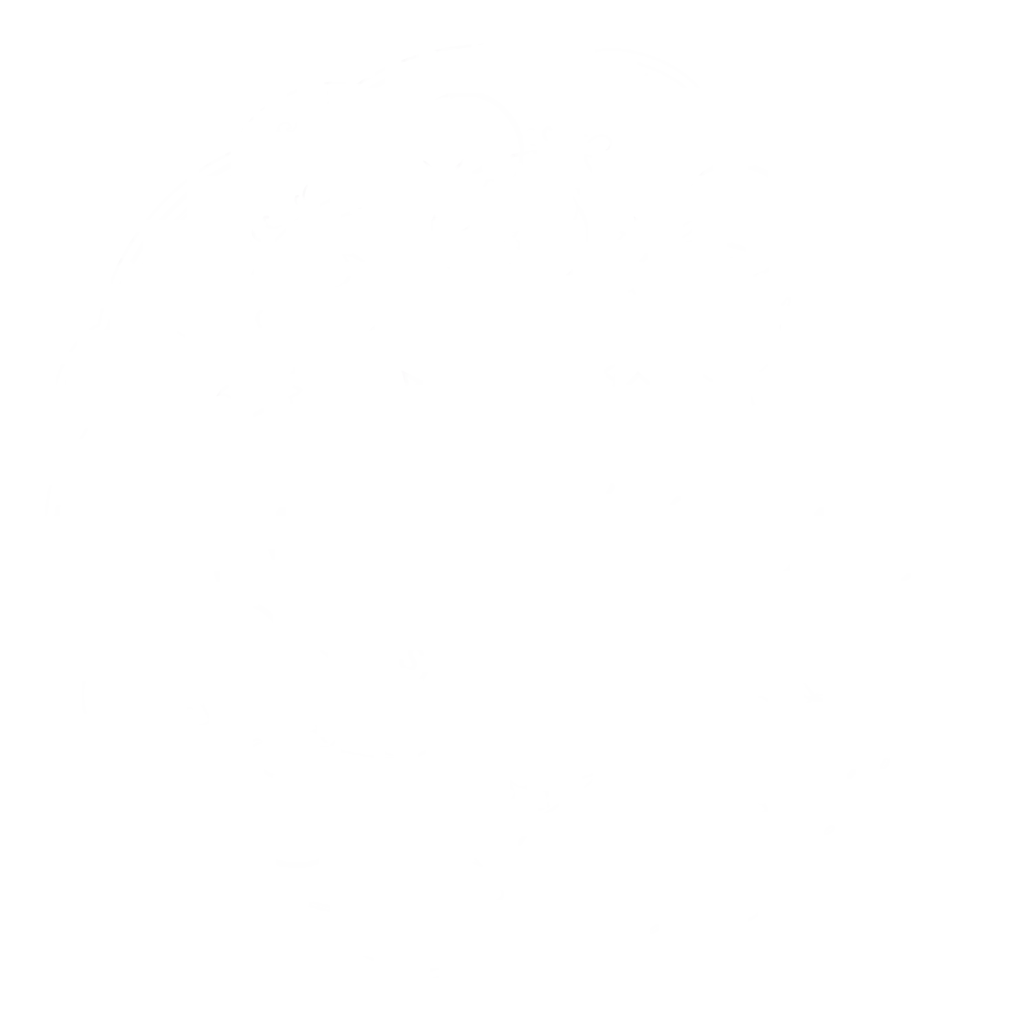 Well-Bred Bakery & Cafe Grove Arcade