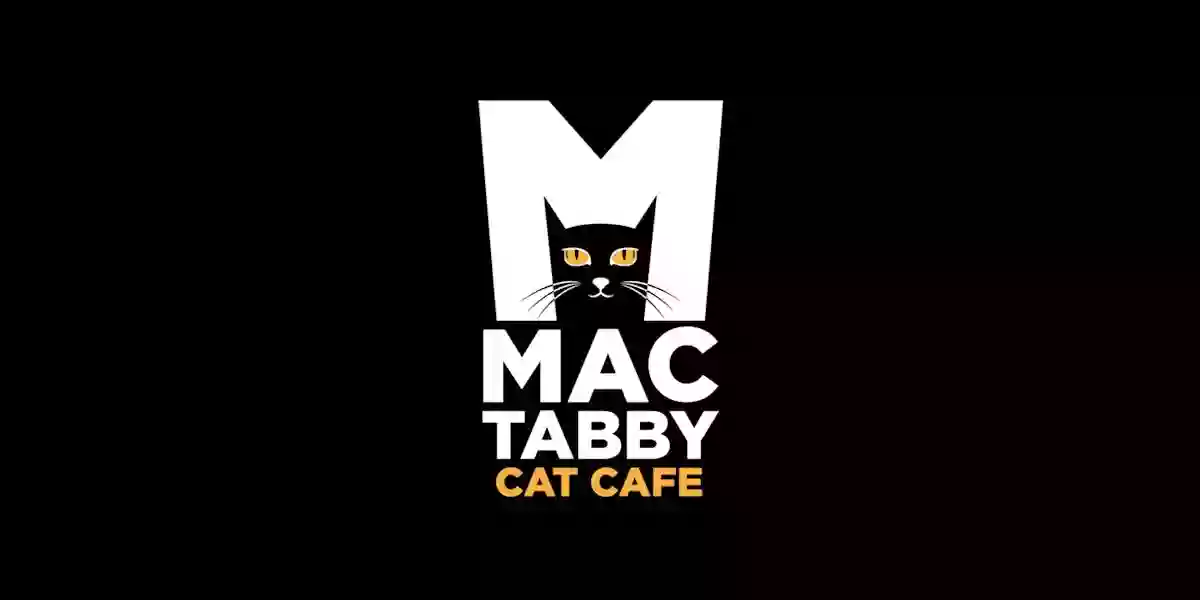 Mac Tabby Cat Cafe - Charlotte