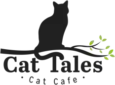 Cat Tales Cat Cafe