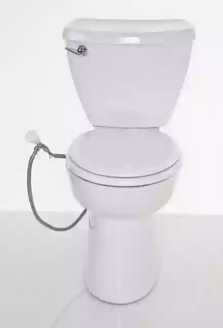 USA Bidet