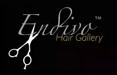 Endivo Hair Gallery