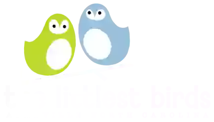 The Littlest Birds