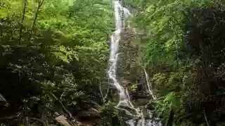 Mingo Falls Access area