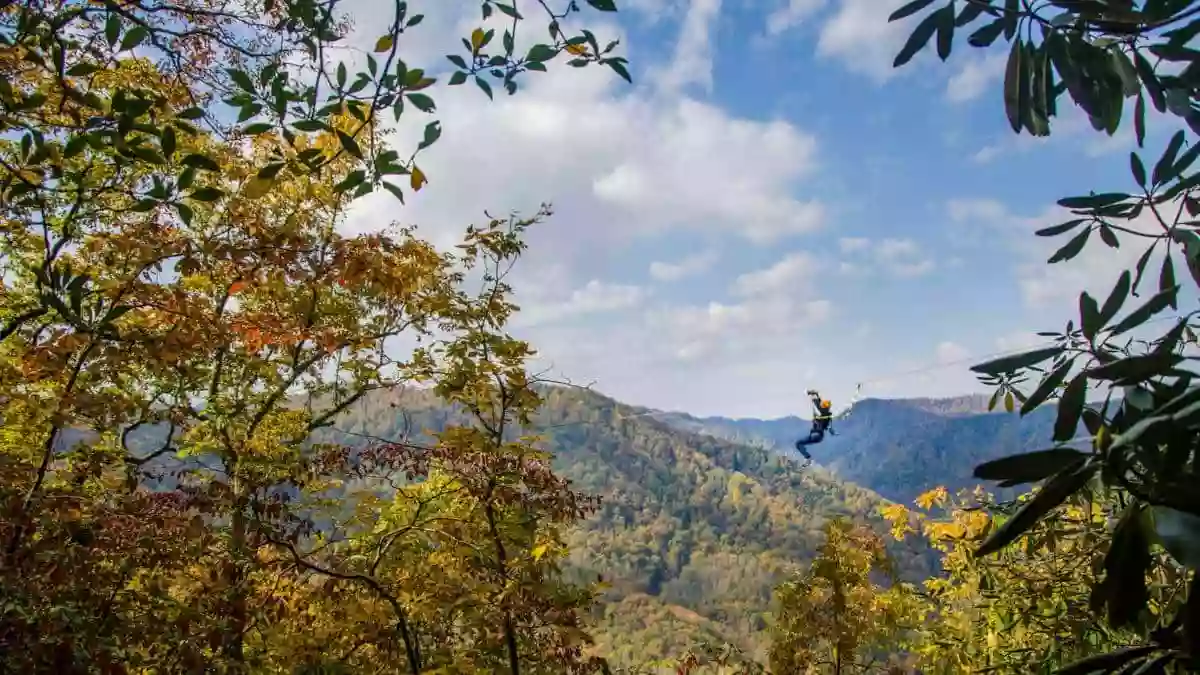 The Gorge Zipline