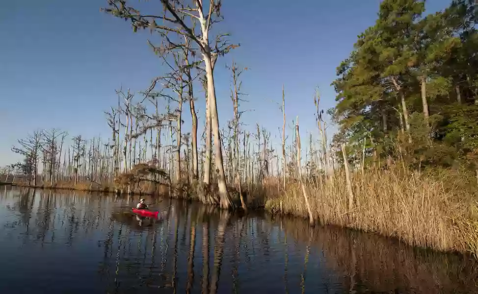 Brunswick Nature Park