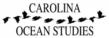 Carolina Ocean Studies; Coastal Field Trips and Outdoor Education
