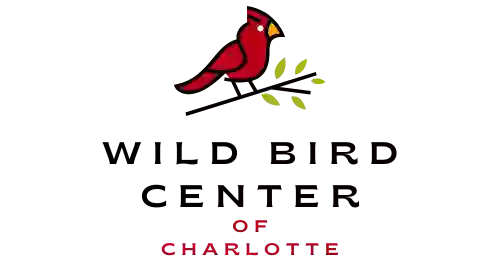 Wild Bird Center of Charlotte