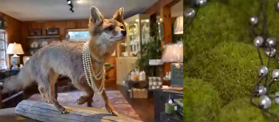 Posh Fox Gift Shop