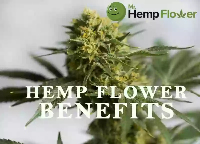 Mr. Hemp Flower