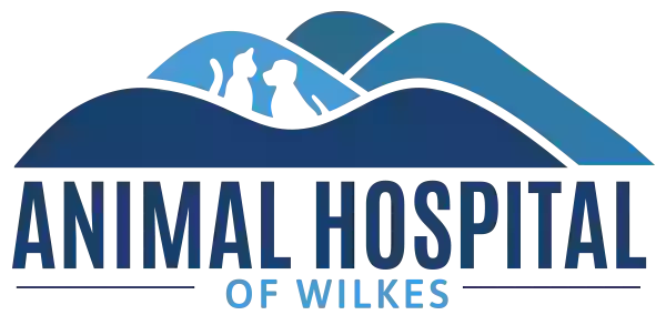 Animal Hospital of Wilkes