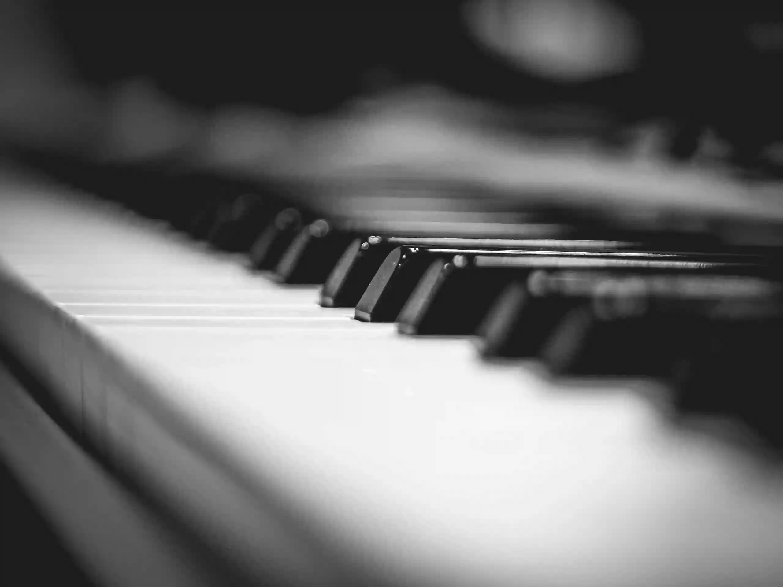 Sounds of Artistry: The Piano School