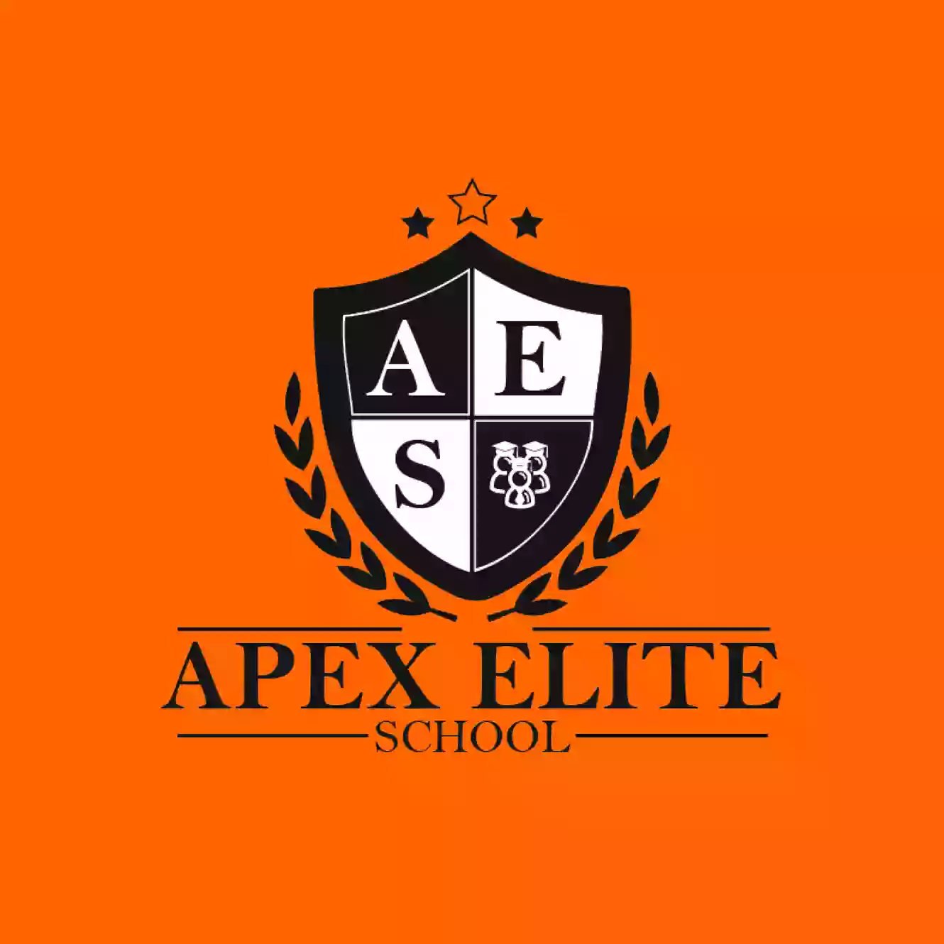 Apex Elite School