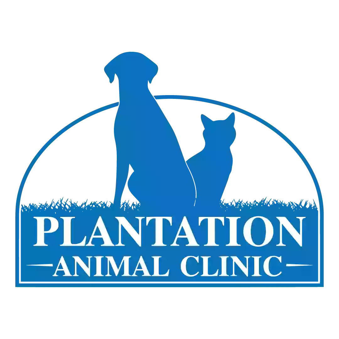 Plantation Animal Clinic, A Thrive Pet Healthcare Partner