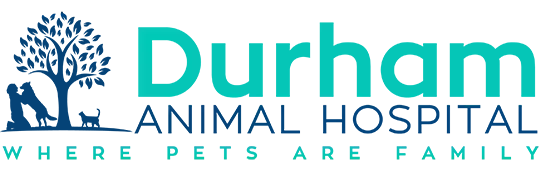 North Churton Veterinary Hospital: Sabin Lani DVM
