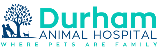 North Churton Animal Hospital