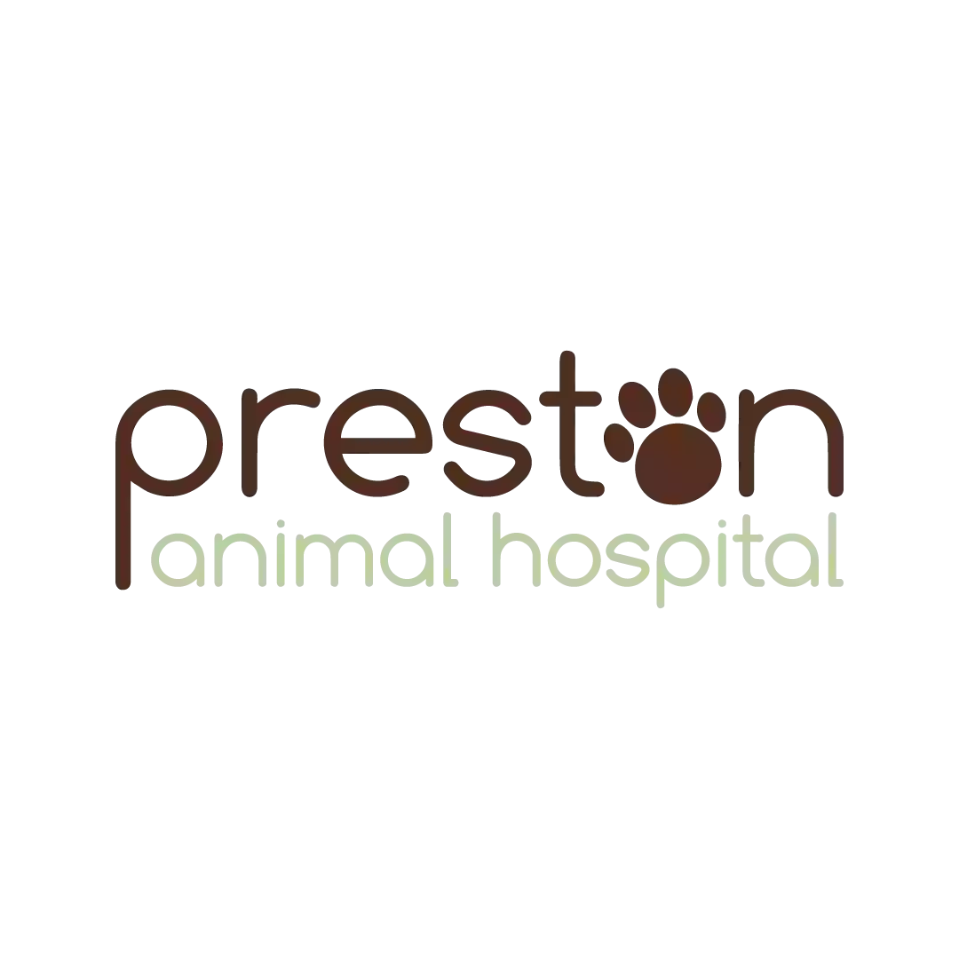 Preston Animal Hospital, A Thrive Pet Healthcare Partner