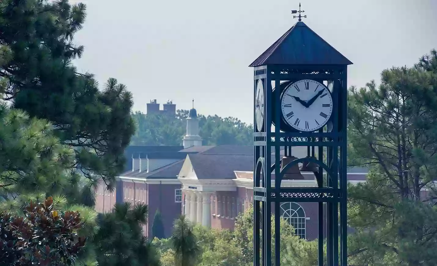 UNCW Soaring Seahawk Sculpture