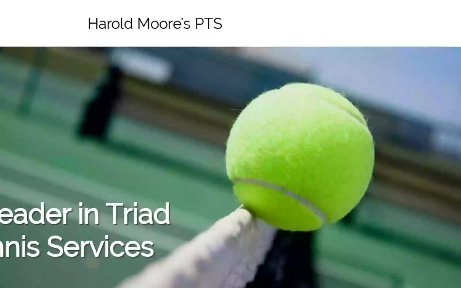 Harold Moore's Professional Tennis Services