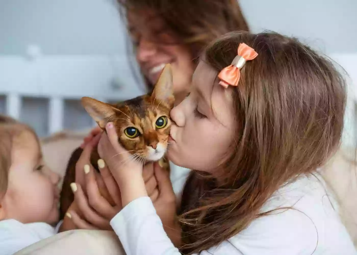 Atrium Cat Hospital