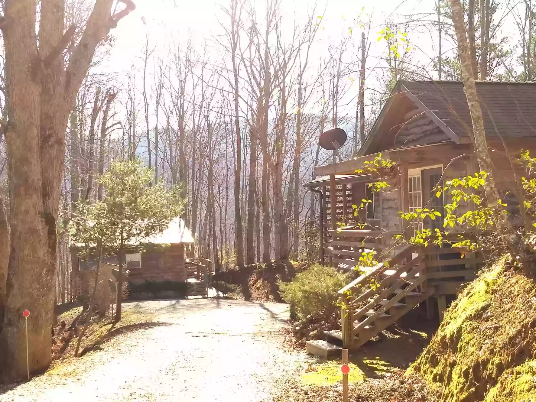 The Cabins in The Woods