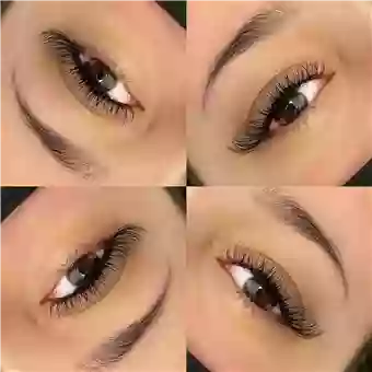 Wink Lash