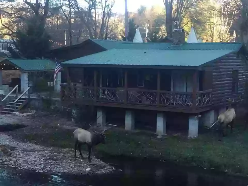 Qualla Motel & Cabins