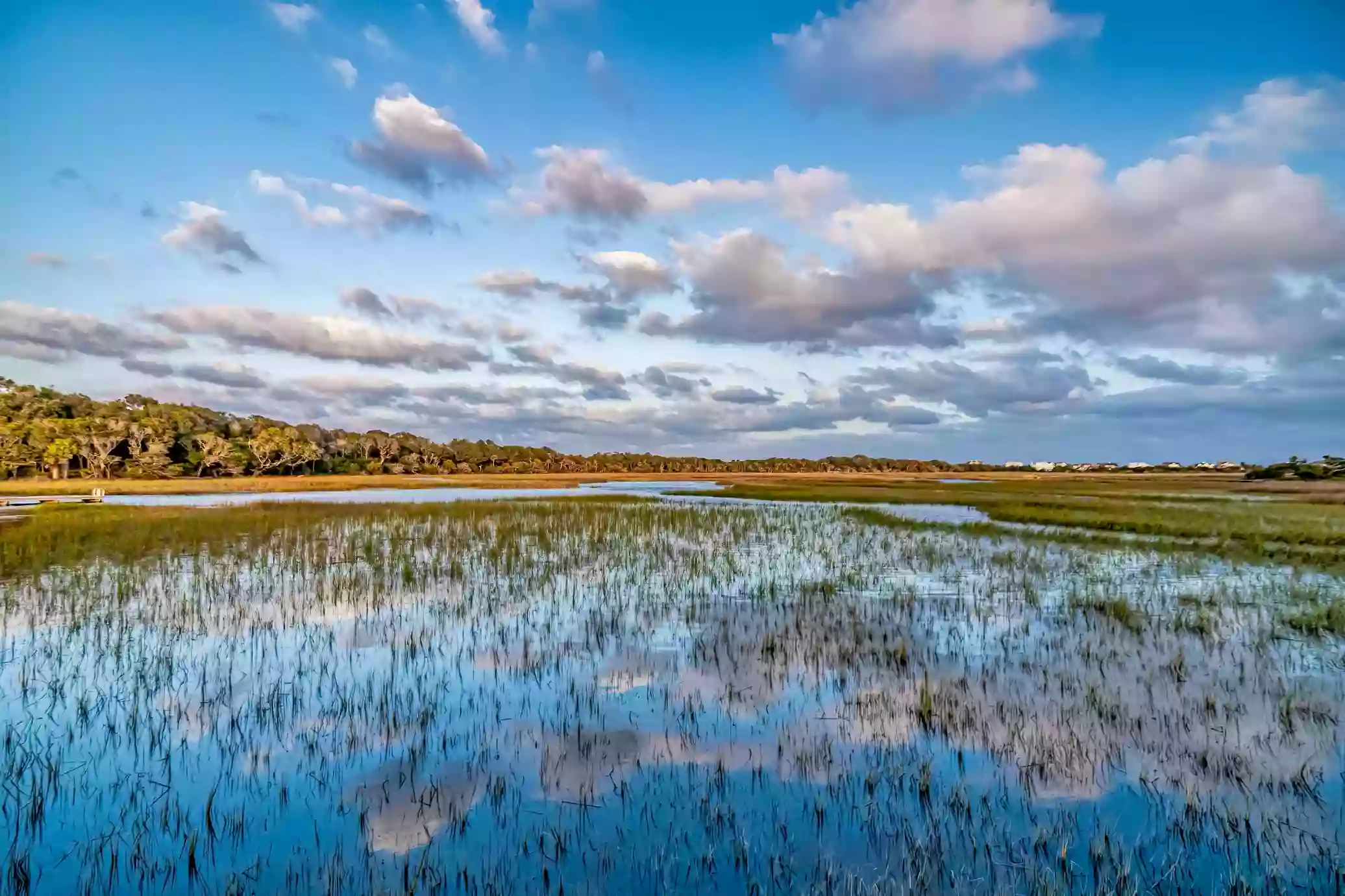 Bald Head Island Services