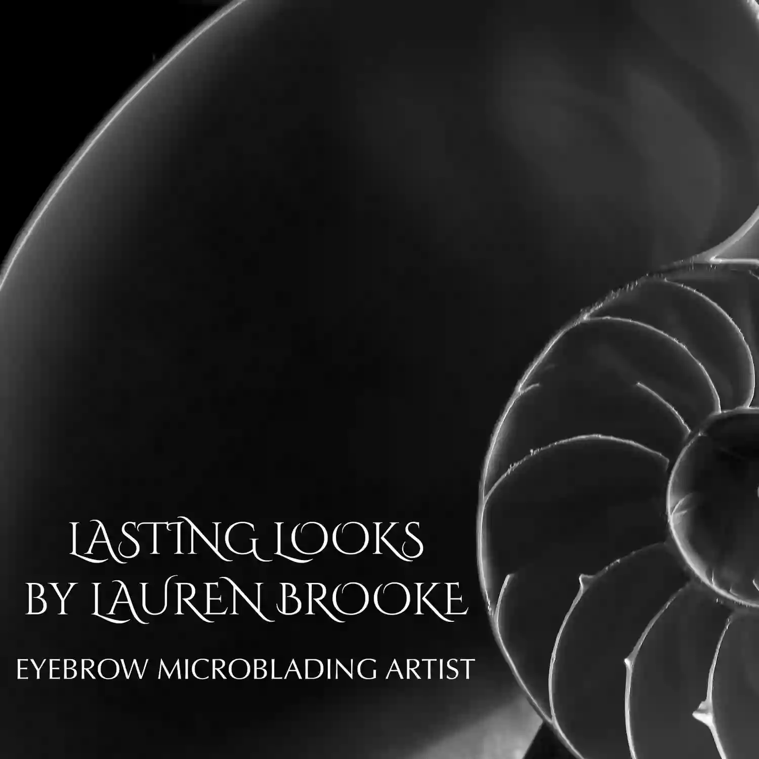 Lasting Looks by Lauren Brooke