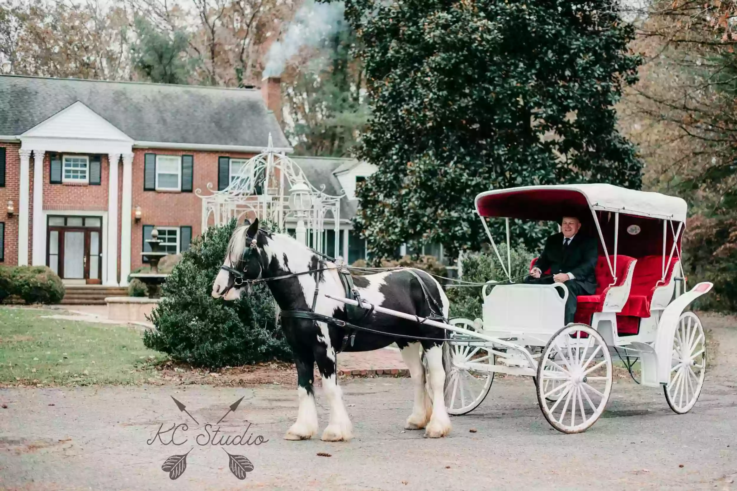 Dorvit's Camel City Carriage Rides