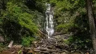 Toms Creek Falls Trail