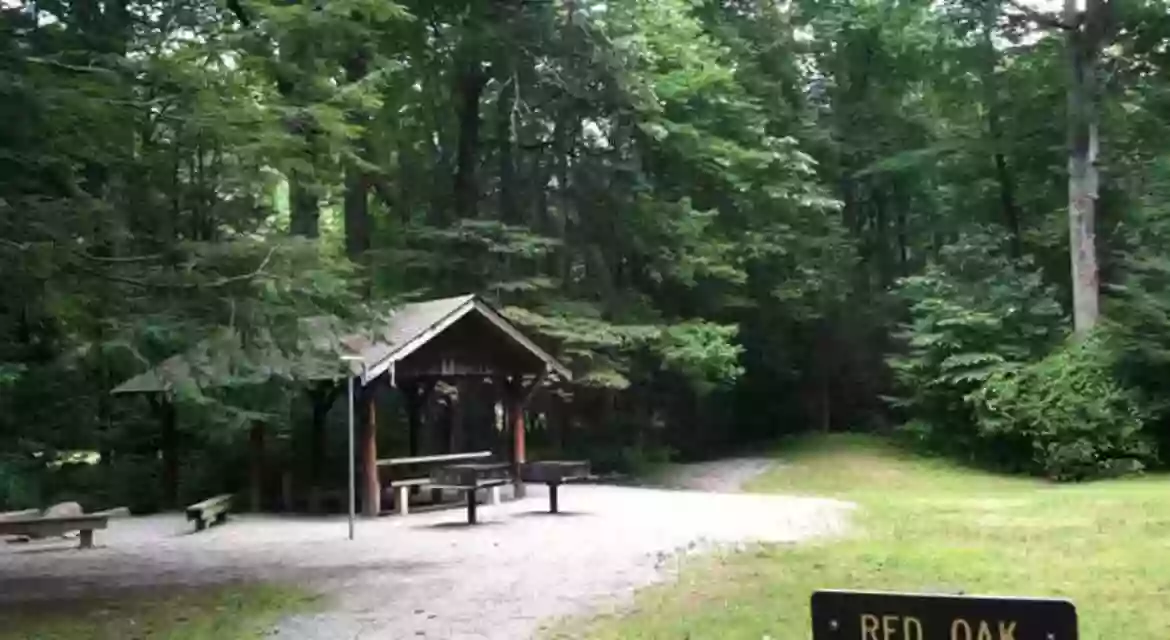 Black Mountain Campground/Briar Bottom Group Campground