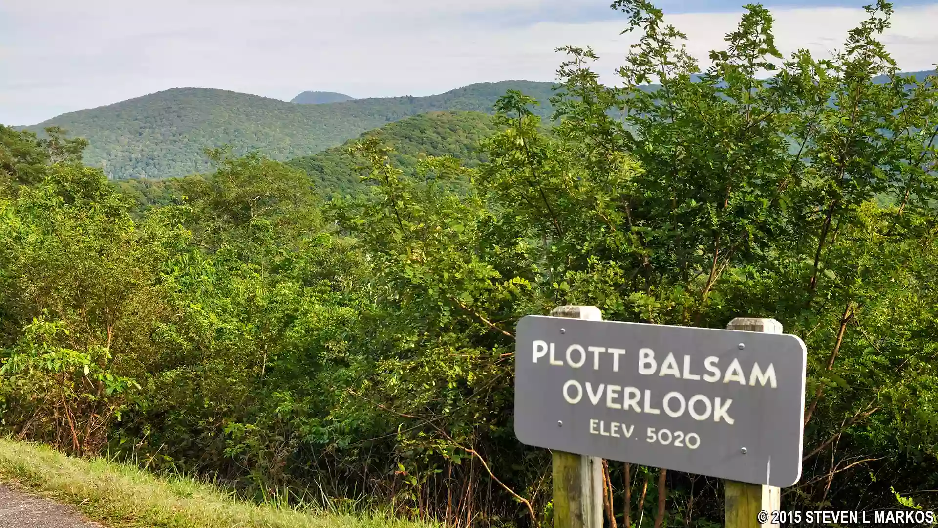 Plott Balsam Overlook