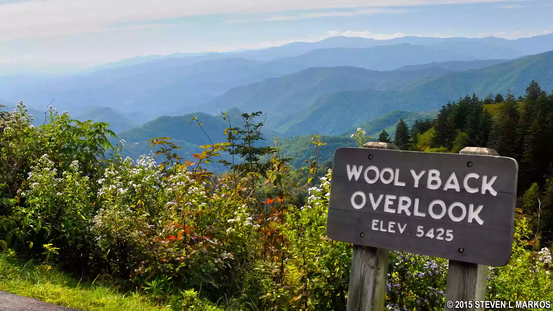 Woolyback Overlook