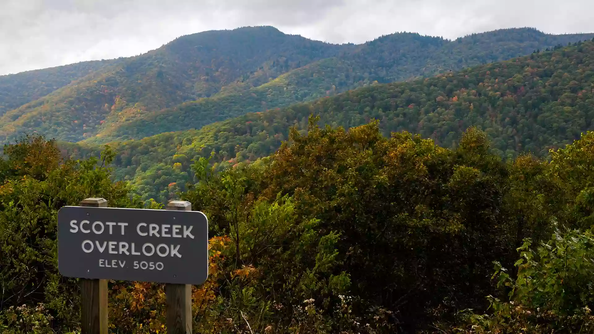 Scott Creek Overlook