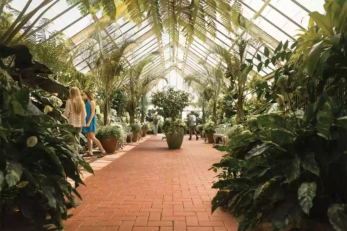 Biltmore Conservatory