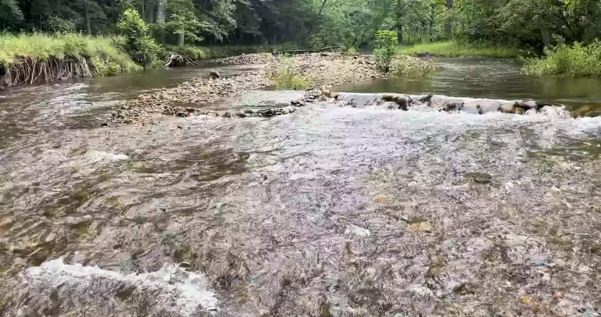 Coweeta Creek Private Campground